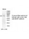 BRD9 Antibody