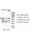 AADAT Antibody