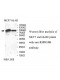 RSPH10B Antibody