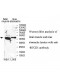 RTCD1 Antibody