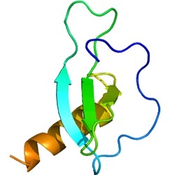 Human Chemokine CCL17/TARC