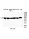 TBC1D13 Antibody