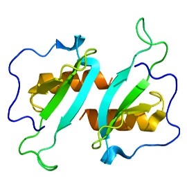Human Chemokine CCL20/MIP-3 alpha