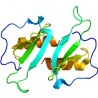 Human Chemokine CCL20//MIP-3 alpha