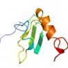 Human Chemokine CXCL5