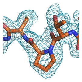 Recombinant Human Insulin
