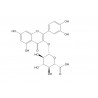 Quercetin 3-O-β-D-glucuronide