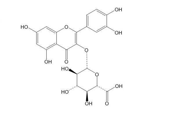 Quercetin 3-O-β-D-glucuronide