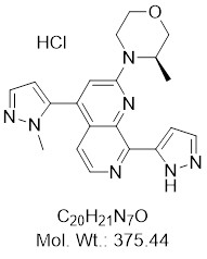 BAY-1895344 Hydrochloride