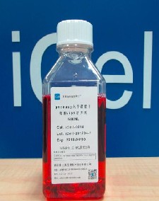 Multi_potential Stem Cells_iPS Medium