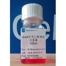 Primary Macrophage Culture System