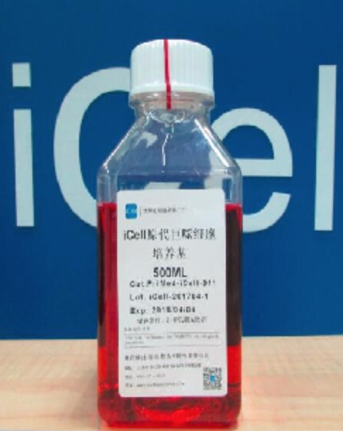 Primary Macrophage Culture System