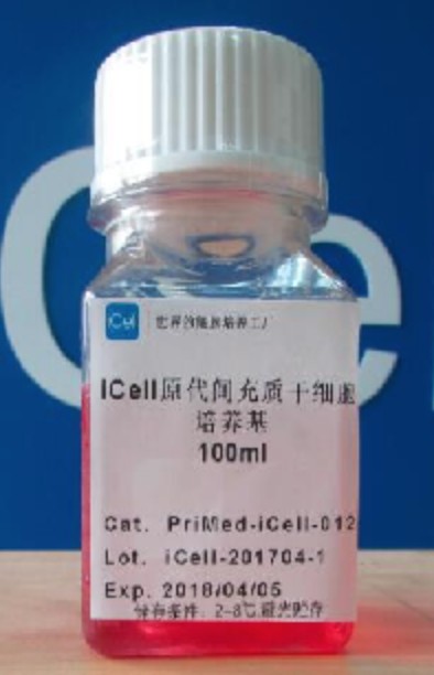 Primary Macrophage Culture System