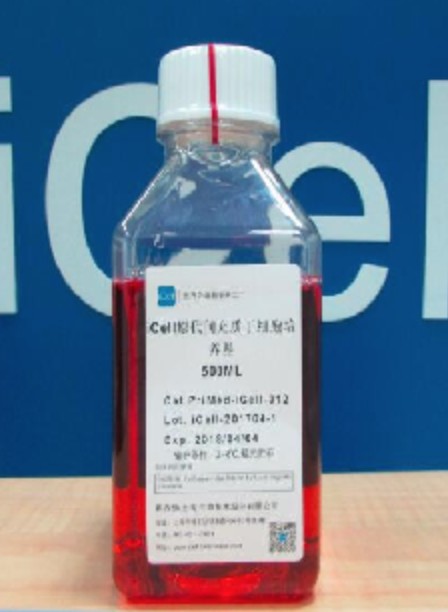 Primary Mesenchymal Stem Cell Culture System