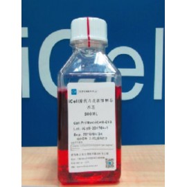 Primary Endothelial Progenitor Cell Culture System