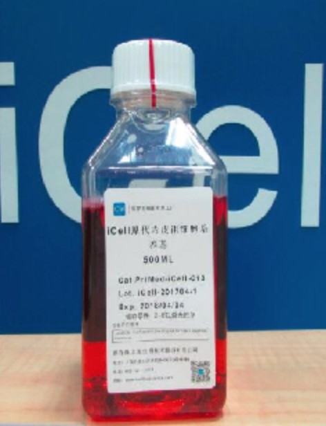 Primary Endothelial Progenitor Cell Culture System