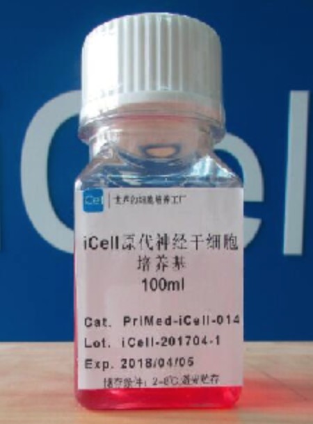 Primary Neural Stem Cell Culture System