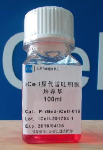 Primary Schwann Cell Culture System