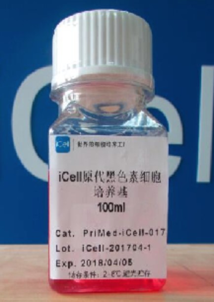 Primary Melanin Cell Culture System