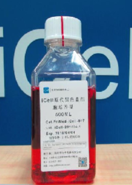 Primary Melanin Cell Culture System