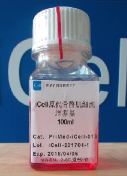 Primary Skeletal Muscle Cell Culture System