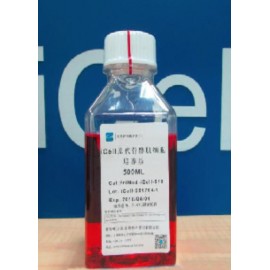 Primary Skeletal Muscle Cell Culture System