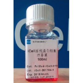 Primary Osteoblast Culture System