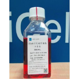 Primary Osteoblast Culture System