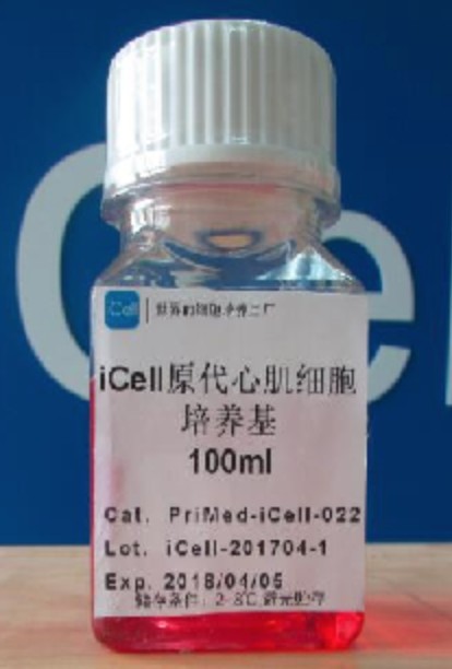 Primary Cardiomyocyte Culture System