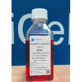 Primary Preadipocyte Culture System