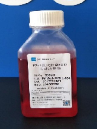 Primary Tumor Cell Culture System