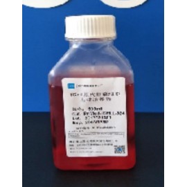 Primary Tumor Cell Culture System