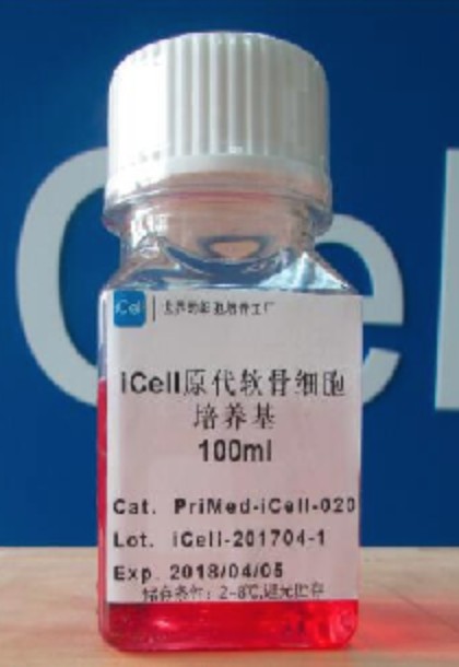 Primary Stromal Cell Culture System