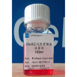 Primary Ovarian Granulosa Cell Culture System