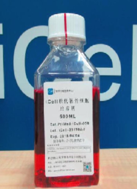 Primary Ovarian Granulosa Cell Culture System