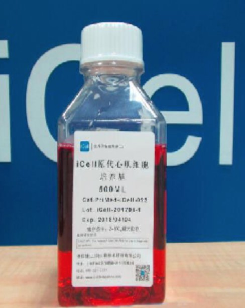 Primary Dendritic (DC) Cell Culture System