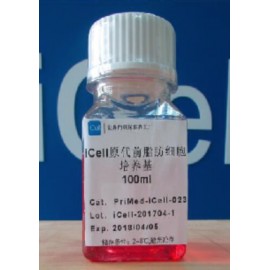 Primary Osteoclast Culture System