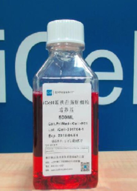 Primary NK Cell Culture System