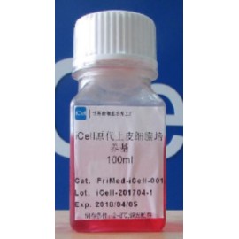 Primary Epithelial Cell Culture System