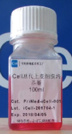 Primary Epithelial Cell Culture System