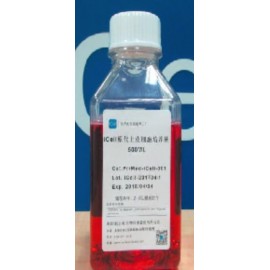 Primary Epithelial Cell Culture System