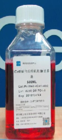 Primary Fibroblast Culture System