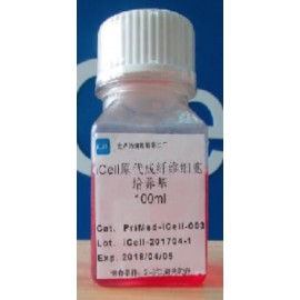 Primary Smooth Muscle Cell Low Serum Culture System