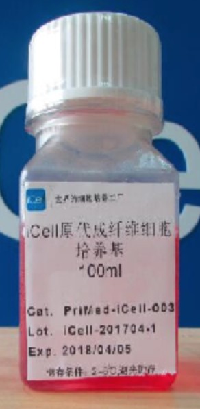 Primary Smooth Muscle Cell Low Serum Culture System