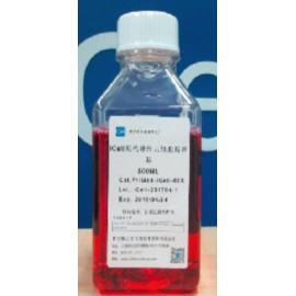 Primary Neuronal Cell Culture System