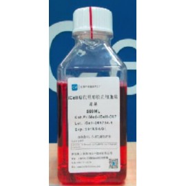 Primary Astrocyte Culture System