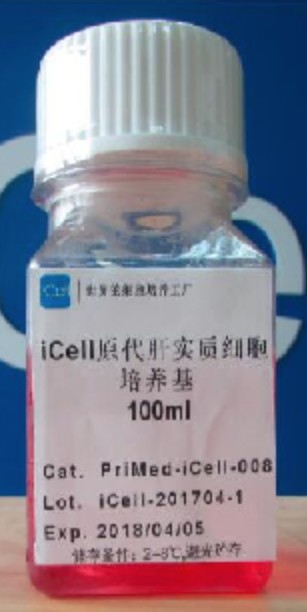 Primary Liver Parenchyma Cell Culture System