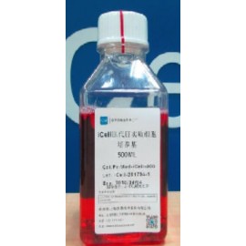 Primary Liver Parenchyma Cell Culture System