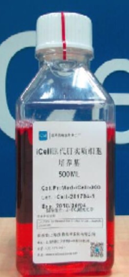 Primary Liver Parenchyma Cell Culture System