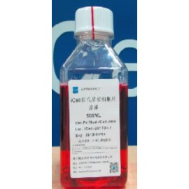 Primary Stellate Cell Culture System